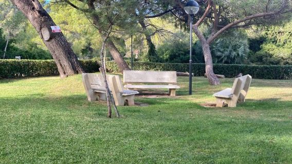 Valencia: tour autoguidato in bici elettrica del lago Albufera