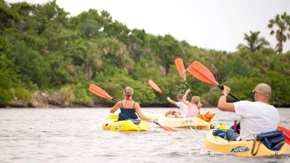 Fort Myers Beach: tour guidato dell'estuario di Lovers Key in kayak