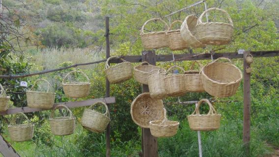 Algarve: Flavors and Traditions Tour