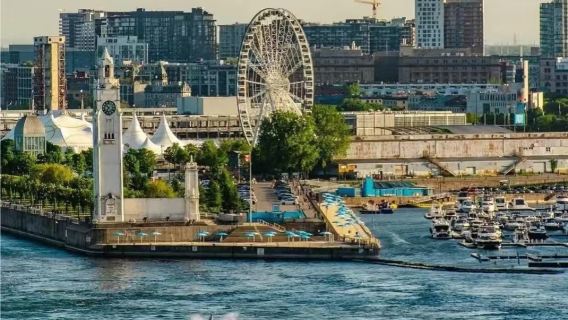 加拿大蒙特婁+皇家山+聖母大教堂+老城/市區打卡一日遊/