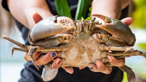 Экскурсия на полдня по острову Робинзон на Фиджи [Fiji Day Tour Robinson Half Day Tour]