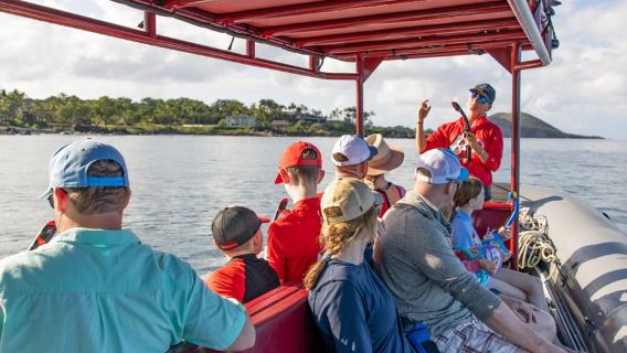 From Kihei: Molokini Crater and Turtle Town Snorkeling