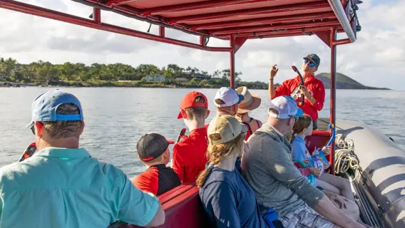From Kihei: Molokini Crater and Turtle Town Snorkeling