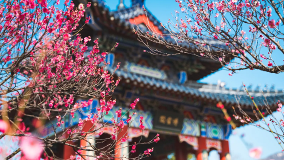 江蘇南京英語/漢語翻譯 （商務翻譯|徒步|旅遊|普通翻譯，中文—漢語/英語，現場翻譯，陪同講解）