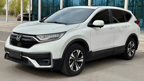 亞布力中國雪鄉包車+大禿頂子山一日遊【代購各景區門票】