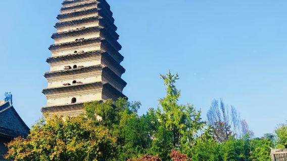 Xi'an Museum + Small Wild Goose Pagoda + Bell and Drum Towers + City Wall / Small Group Day Tour with Bilingual Study Experience in Chinese and English