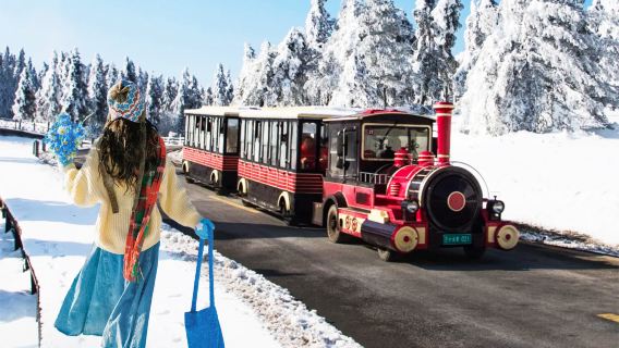 ทัวร์ 1 วัน อุทยานแห่งชาติภูเขานางฟ้าอู่หลงแบบไปเช้าเย็นกลับ | รวมอุปกรณ์ให้ความอบอุ่นมือและถุงมือ • จุดรับส่งที่กำหนดในเมือง • ทัวร์แบบเต็มรูปแบบ