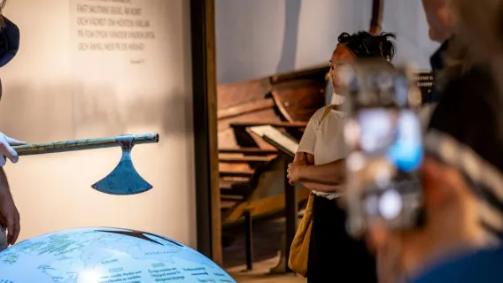 Wikingermuseum: Eintrittskarte