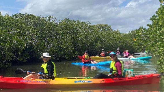 Kayak Noosa chèo thuyền kayak 2 giờ [bao gồm hướng dẫn từ huấn luyện viên, mái chèo, áo phao, ngắm rừng ngập mặn Noosa, biệt thự sang trọng]