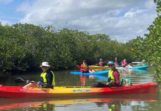 Kayak Noosa 2-Hour Kayaking Tour [Includes Instructor Guidance, Paddles, Life Jacket, Noosa Mangrove Viewing, and Luxury Homes] AUD 78.27