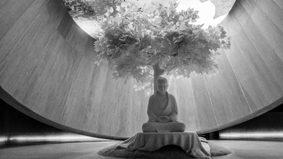 Nanjing Day Tour: Jiming Temple City Wall  Xuanwu Lake & Bao'en Temple