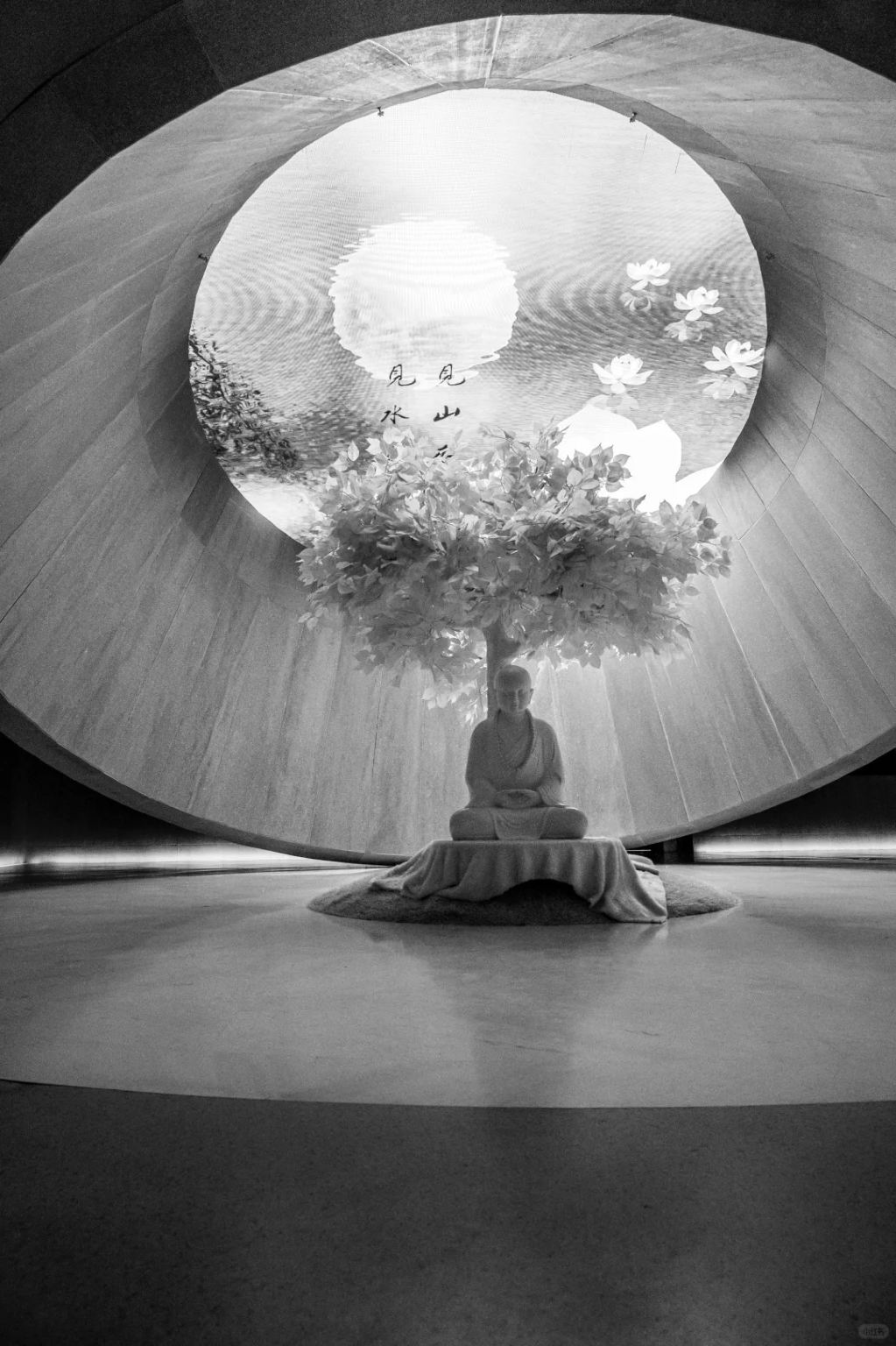 Nanjing Day Tour: Jiming Temple City Wall Xuanwu Lake & Bao'en Temple