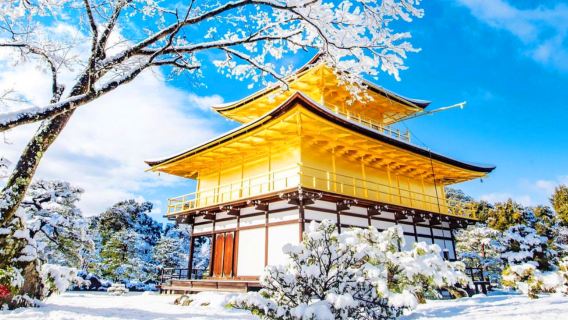 Kyoto Kiyomizu-dera Temple + Ninenzaka + Sannenzaka + Kinkaku-ji + Fushimi Inari Taisha one-day pilgrimage to explore Kyoto's millennium-old heritage and enjoy autumn foliage