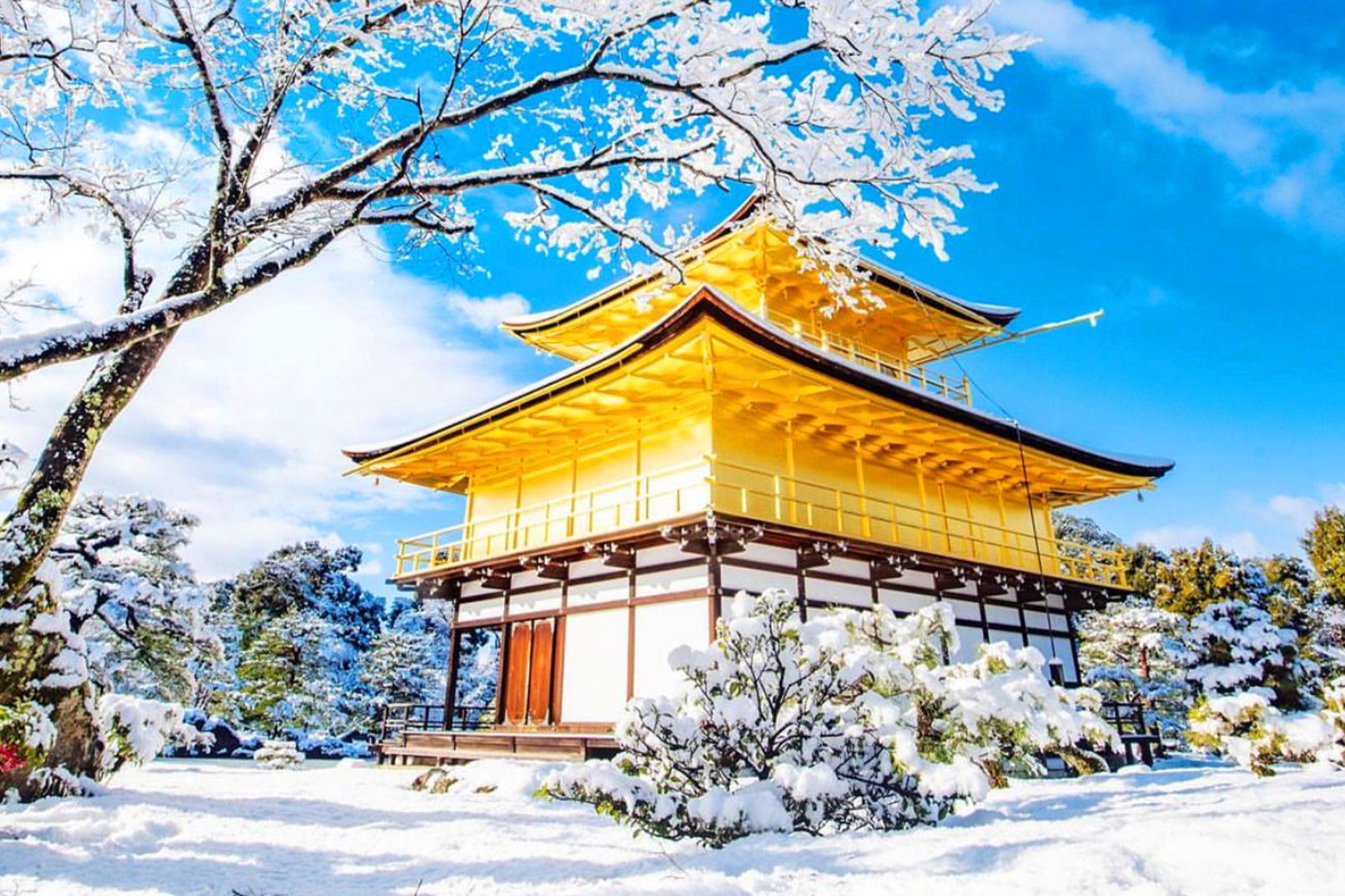 Kyoto Kiyomizu-dera Temple + Ninenzaka & Sannenzaka + Kinkaku-ji + Fushimi Inari Taisha, Kyoto millennium day tour