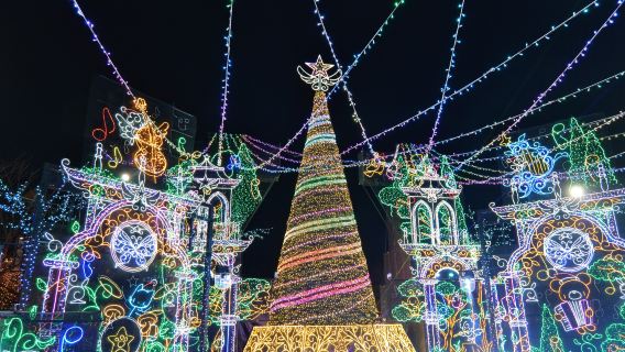 4 จุดถ่ายรูปยอดนิยมที่ทะเลสาบคาวากุจิ + งานแสงสีที่ทะเลสาบซางามิ (ออกเดินทางจากโตเกียว, เปิดเฉพาะฤดูหนาว)