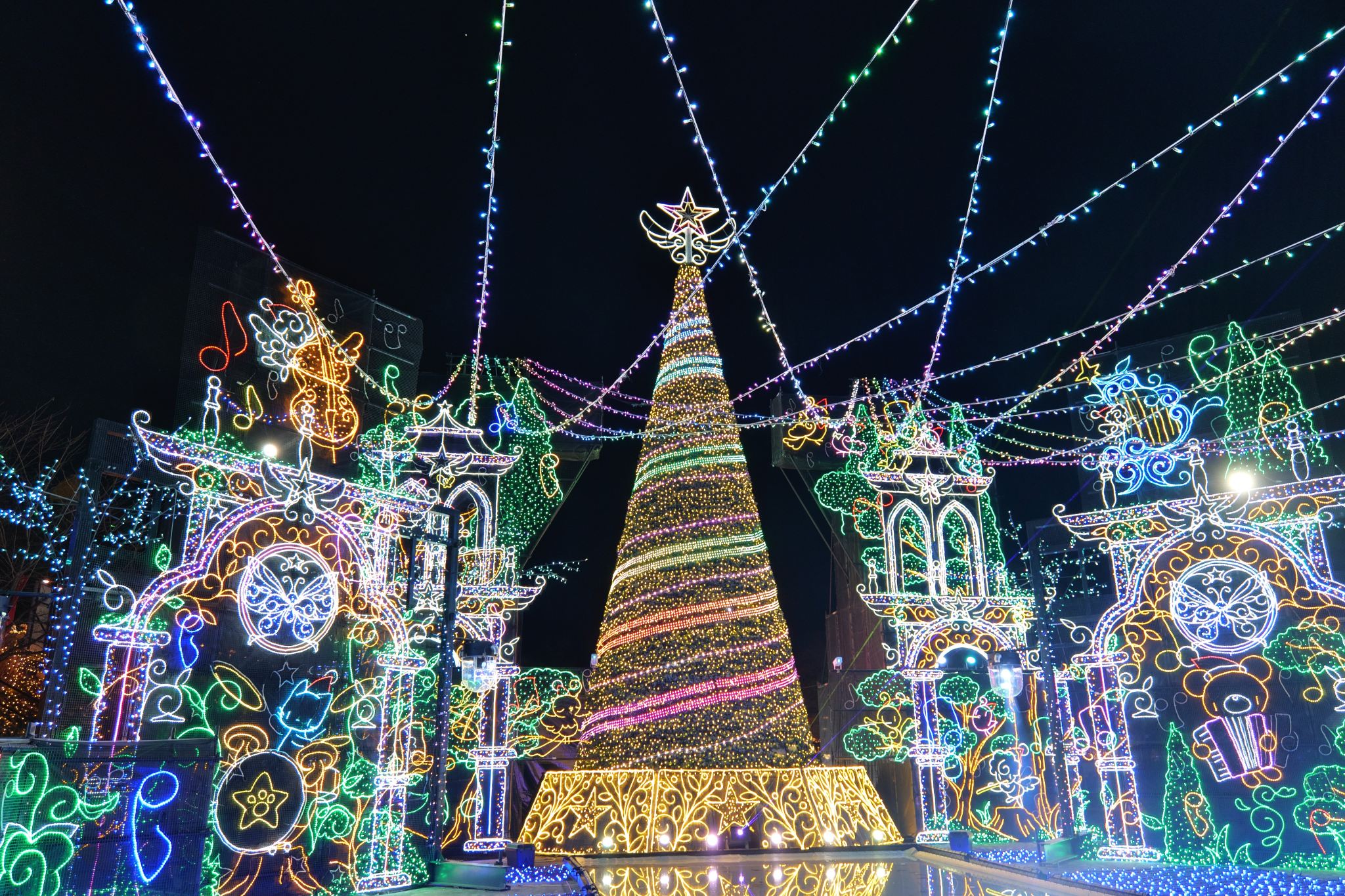 [한국어 가이드 • ★1명도 무조건 도쿄 출발★] 후지산 인기 명소 & 사가미호 모리모리 일루미네이션 당일 투어 (겨울 한정)