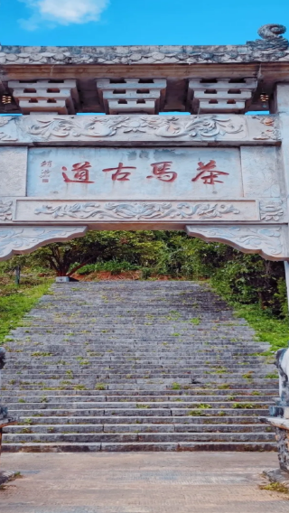 【2-8人純玩拼小團】普洱茶馬古道旅遊景區+咖啡莊園一日遊