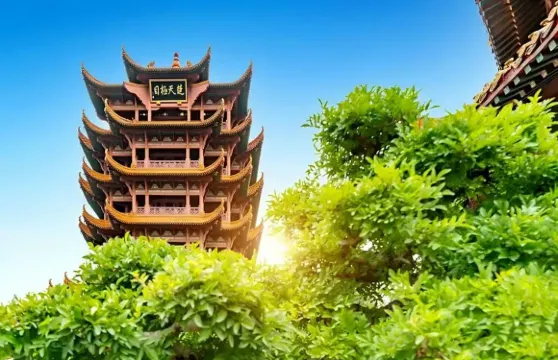 武漢+黃鶴樓+湖北省博物館+東湖生態旅遊風景區+武漢大學+戶部巷一日遊