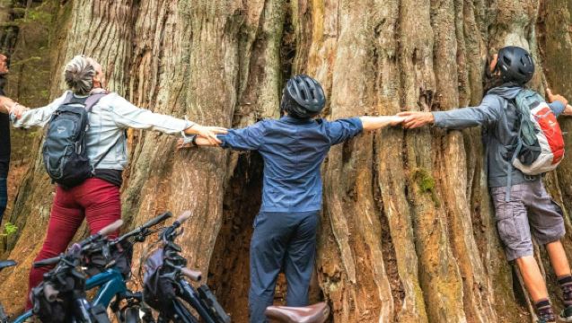 Vancouver: Tour en bicicleta por el parque Stanley para familias