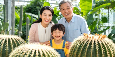 【馬年大吉】廈門園林植物園+廈門大學+南普陀+帆船可選一日遊