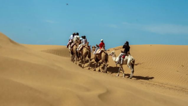 1-Day Tour to Shenquan Ecological Tourism Attraction | Small Group of 2-8 People | Door-to-Door Pickup | Includes Desert Combo Ticket