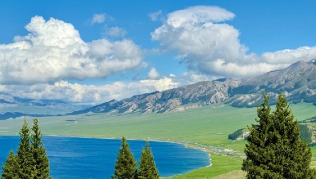 賽里木湖純包車一日遊【不含門票+環湖接駁車+上門接送】