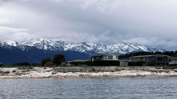 Kaikoura kayaking tour - up close experience with playful fur seals