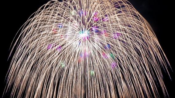 [Med läktarplats] Kataikai Festivalens fyra fot stora fyrverkeri - Nattbustur retur - Sightseeingtur från Shinjuku Station