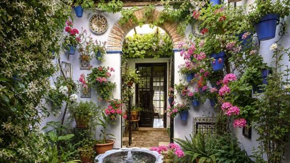 Ortak tur | Sevilla gidiş-dönüş Cordoba | Beyaz Köy + Ronda Günübirlik Turu (bilet gerekmez)