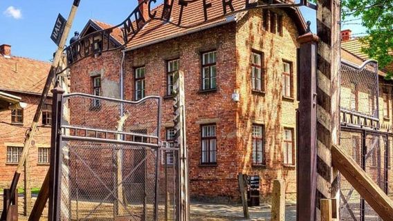 Auschwitz Birkenau and Salt Mine - Full-Day Guided Tour with Private Transport