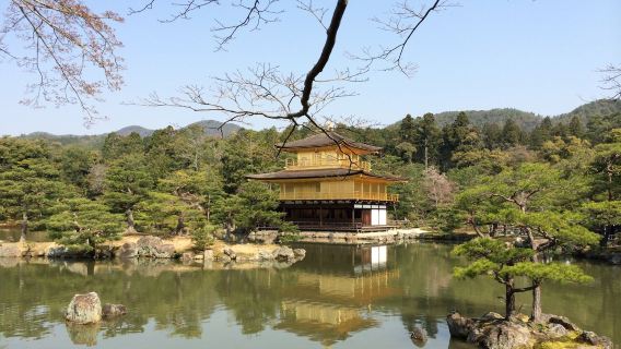 日本大阪來回京都+嵐山+瑠璃光院+金閣寺【中文包車上門接】
