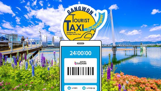 Chuncheon sightseeing pass + foreigner taxi