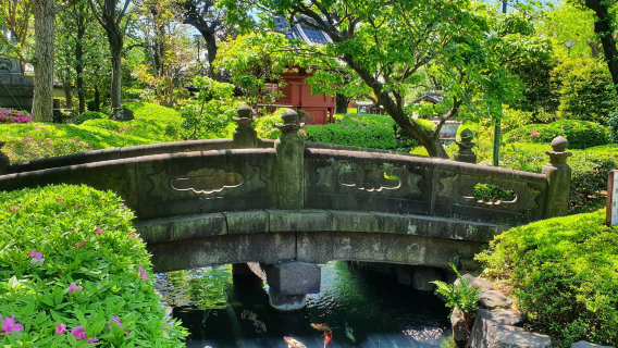 日本東京-新宿御苑-上野公園-淺草寺【中文包車-舒適純淨】