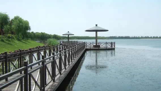 Shanghai private chartered tour: Chongming Xisha Wetland + Pearl Lake Chongming Island river island ecology 1-day tour