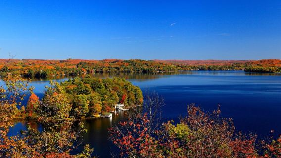 Toronto round-trip | Fall foliage 1-day tour - Lake of Bays + Muskoka + Algonquin Provincial Park and more