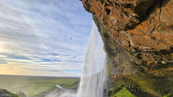 Tour di un giorno alla laguna glaciale Jökulsárlón e alla spiaggia di diamanti lungo la costa meridionale dell'Islanda