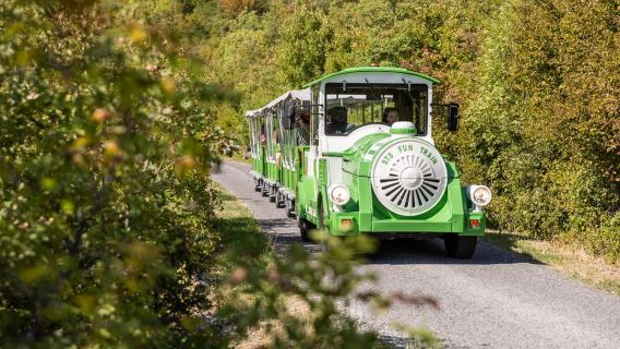Montenegro: Lipa Cave Guided Tour & Train Ride