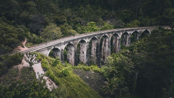 Ella: Private Sunrise Hike, Tea Estate, and Waterfall Tour