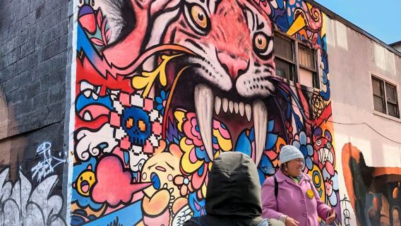 Montreal: Guided Walking Tour of Montreal's Murals