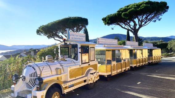 The Little Train of Sainte-Maxime