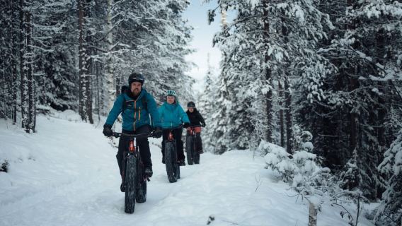 Levi: E-Fatbike Adventure in Snowy Forest