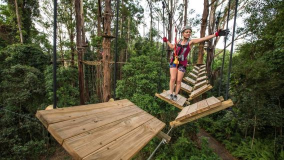 Sunshine Coast: High Ropes and Zipline Adventure Park