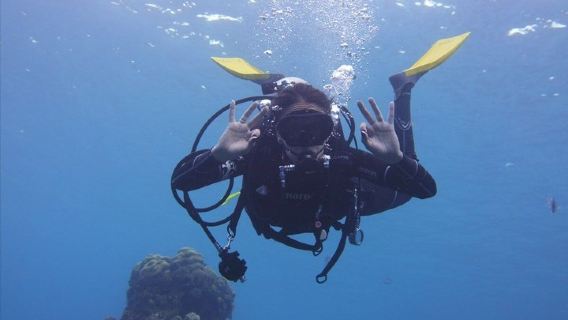Panama City Scuba Diving Activity for Beginners