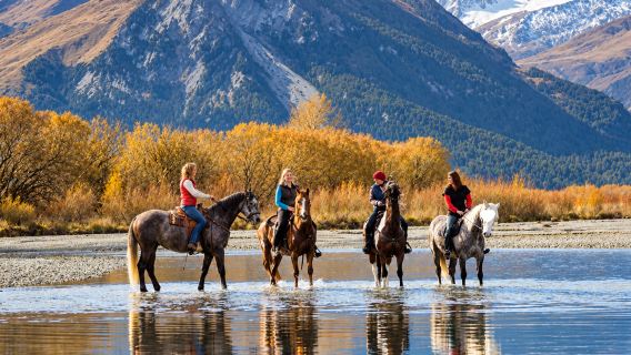 New Zealand Queenstown Glenorchy horse riding | optional Lord of the Rings/Rees River route | basic English required