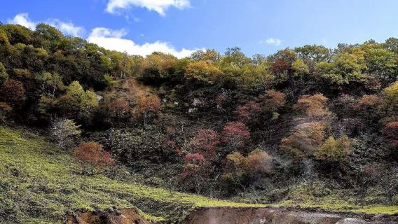 日本札幌來回登別+洞爺湖+支芴湖一日遊【中文定制包車】
