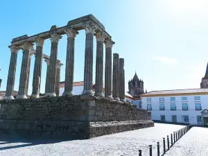 Evora And Monsaraz – Wine and Gastronomy (from Lisbon)