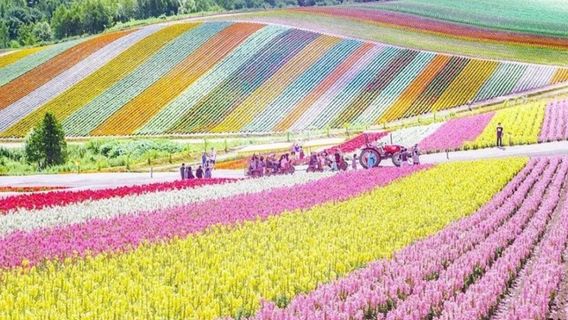 FuranoTravel Photography