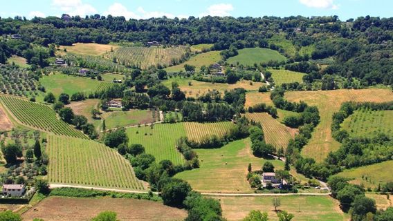 CivitavecchiaTours
