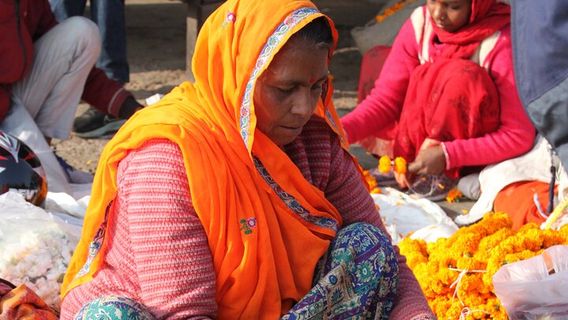 JaipurTours