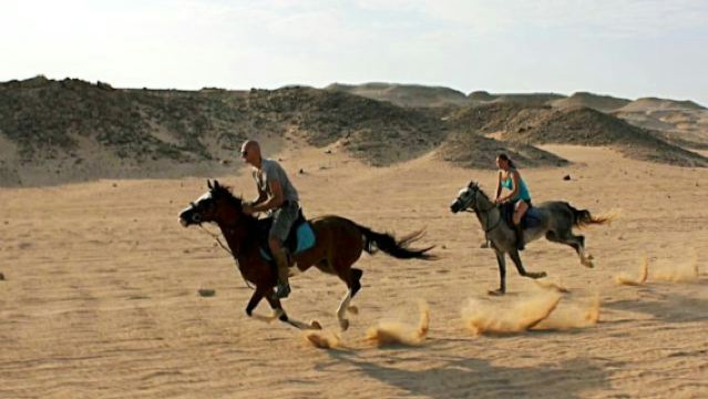 Marsa Alam: Desert and Sea Horseback Adventure
